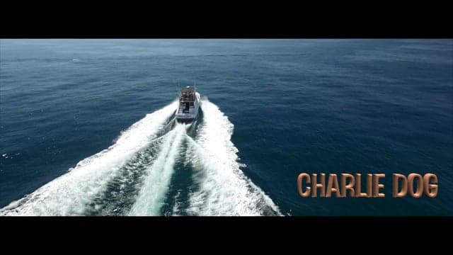 Charlie Dog